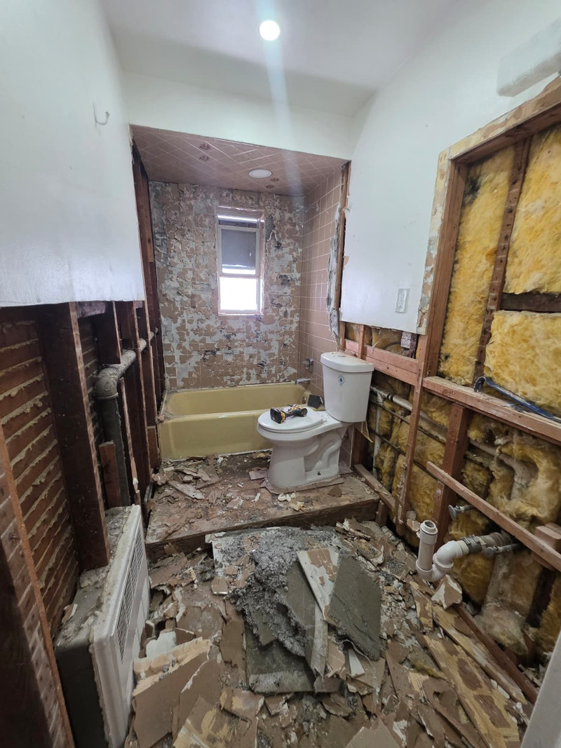 Bathroom Demolition Phase